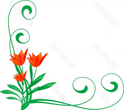 Frame from tulips
