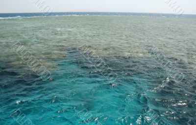 Coral island