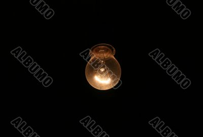 Bulb 1