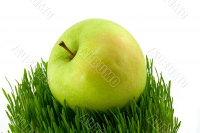 apple and grass