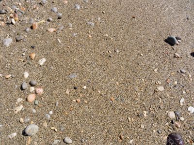 Wet sea sand