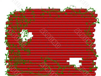 Wall with plants