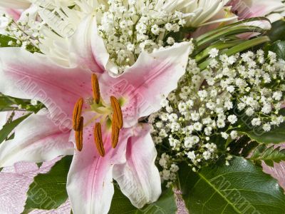 Lily flower