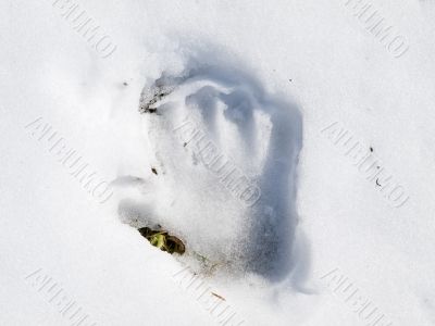 Hand print