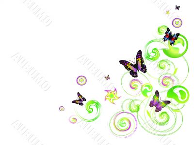 Floral butterflies