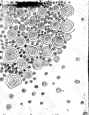 Hand drawn detailled illustration