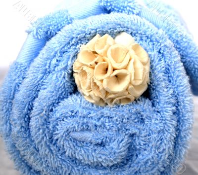 Elegant Spa and Bath