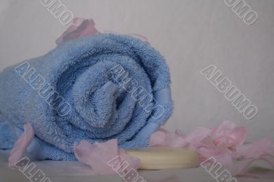 Elegant Spa and Bath