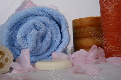 Elegant Spa and Bath