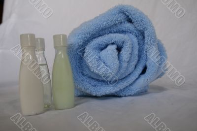 Elegant Spa and Bath