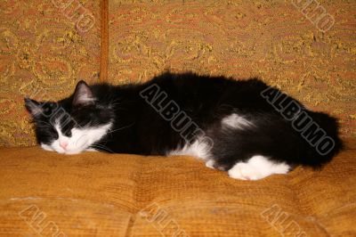 Sleeping