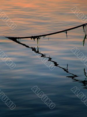 Reflection