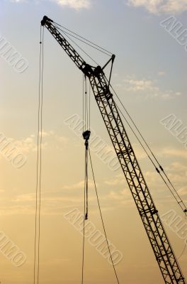 Crane