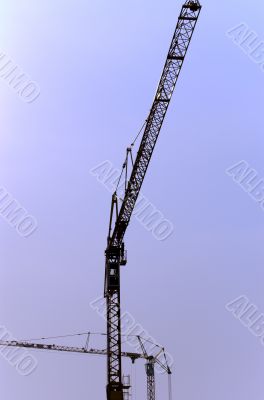 Crane