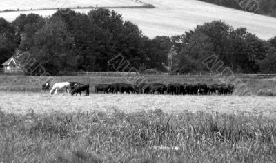 Nostalgic British rural view