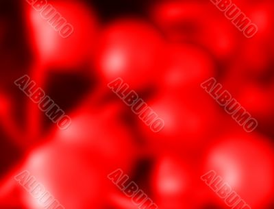 red berry abstract