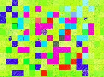 citric squares