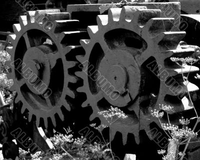 Big cogs
