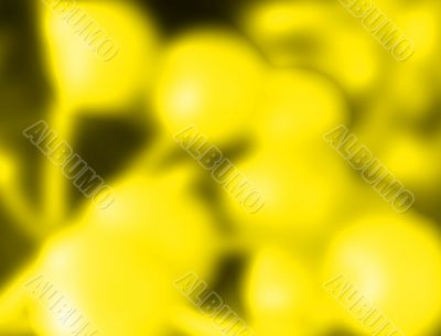Yellow buds abstract