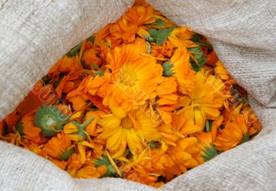 A bag with e calendula