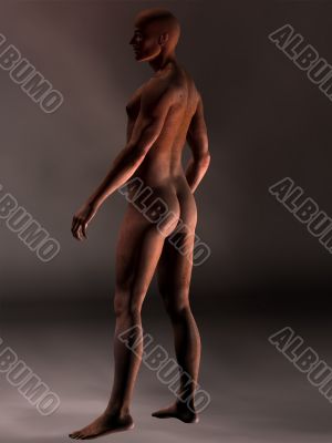 3D Body