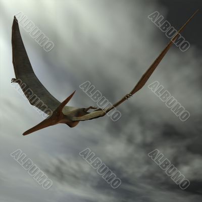 Pteranodon