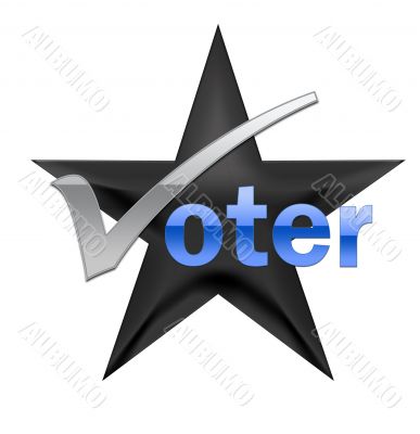 Voting illustration