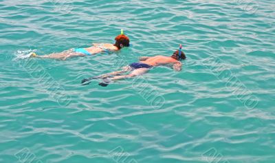 snorkelling