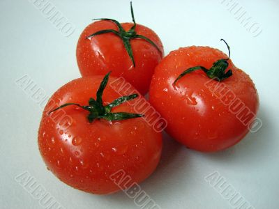 Ripe tomatoes