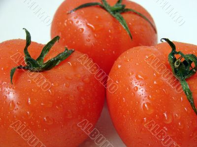 Ripe tomatoes