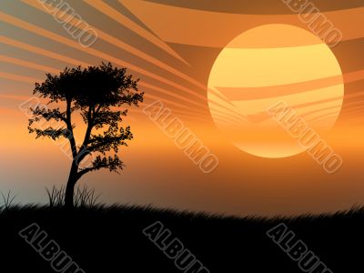 Tree in the sunset
