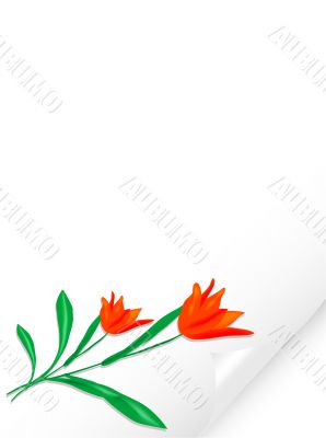 Bended paper with tulips