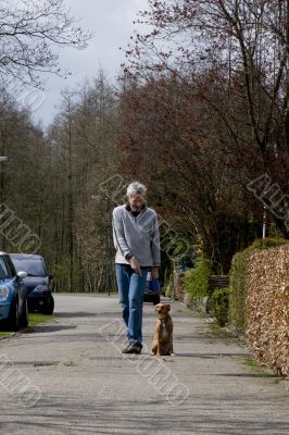 training the dog