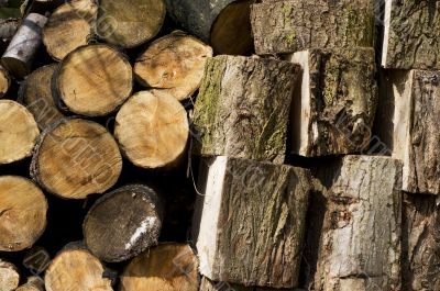wood