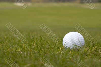 golf ball