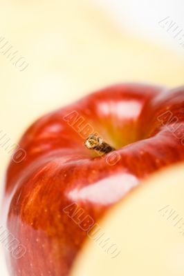one red apple with yellow backgounds