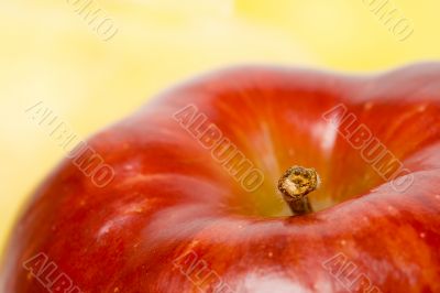 red apple with yellow backgound