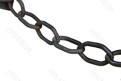 Isolated chain at white background