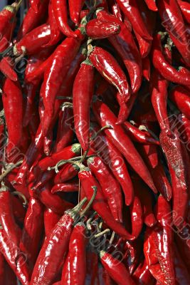 Red Hungarian pepper