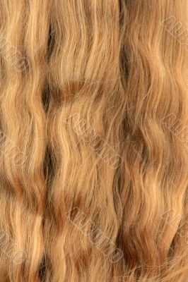 Female hair