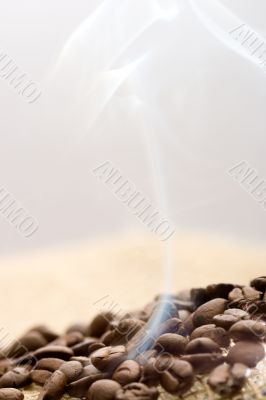 roasted coffee beans