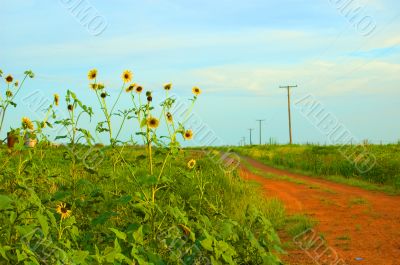 Country Road