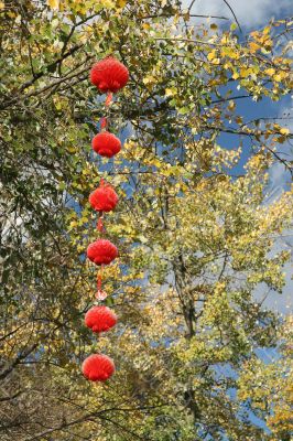 Red lanterns