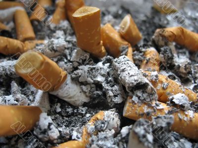 cigarettes in ash-tray