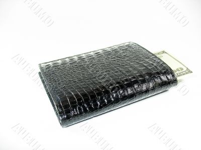 Black purse with money in it on a white background