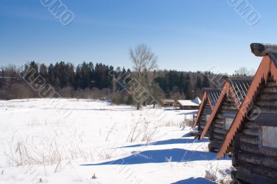 Sunny winter day