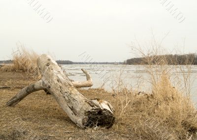 Flooding River