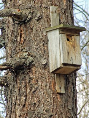 birdhouse