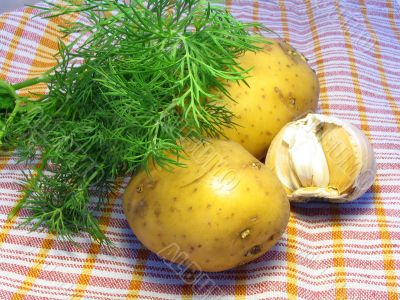 Potato with fennel and garlic 2