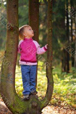 Little beauty girl on tree